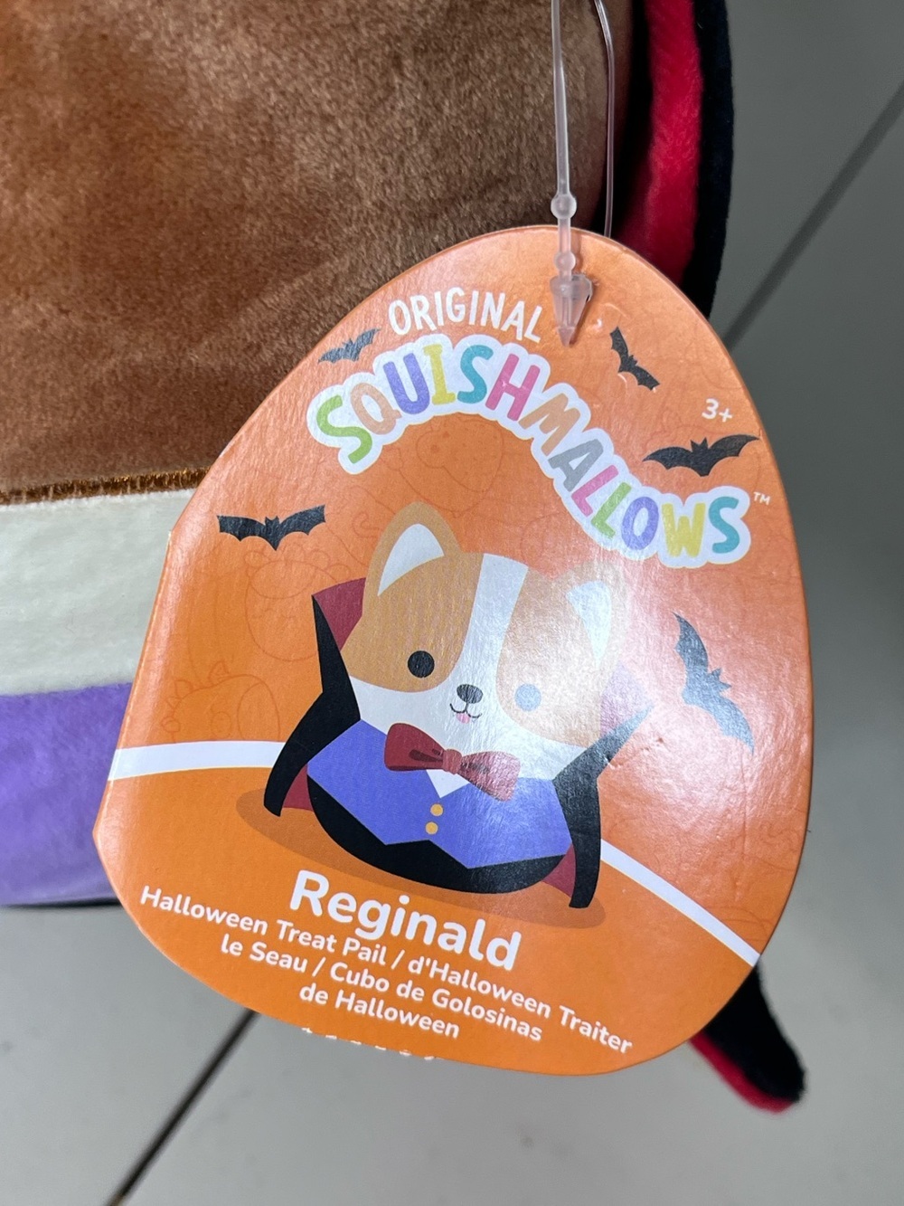 NWT Squishmallows Reginald the Vampire Corgi Treat Pail Soft Plush Bucket - Picture 11 of 14